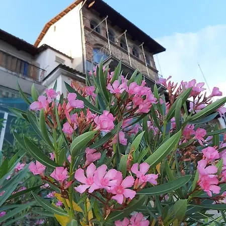Le Di Angelina - Langhe Loft & Farigliano