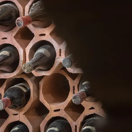 Le Di Angelina - Langhe Loft&suites Gasthuis 3*