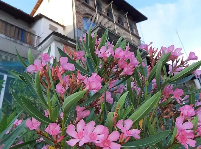 Le Di Angelina - Langhe Loft & Farigliano